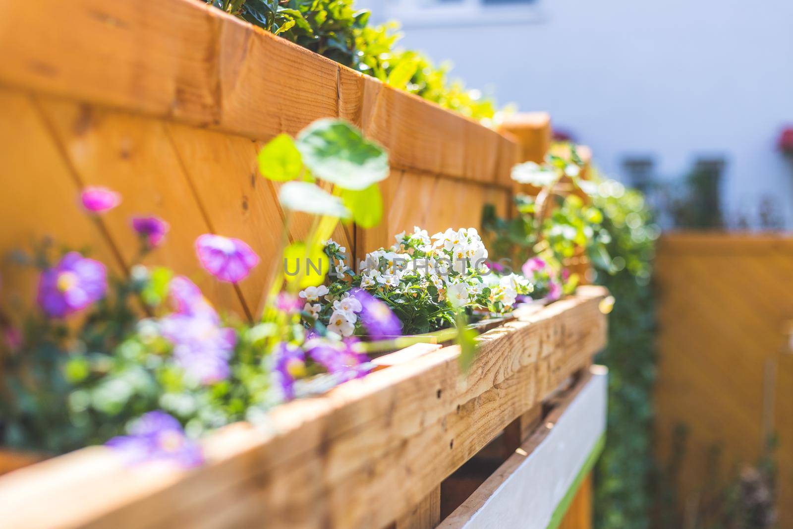 Spring flowers on self-made wooden flower box, euro palette