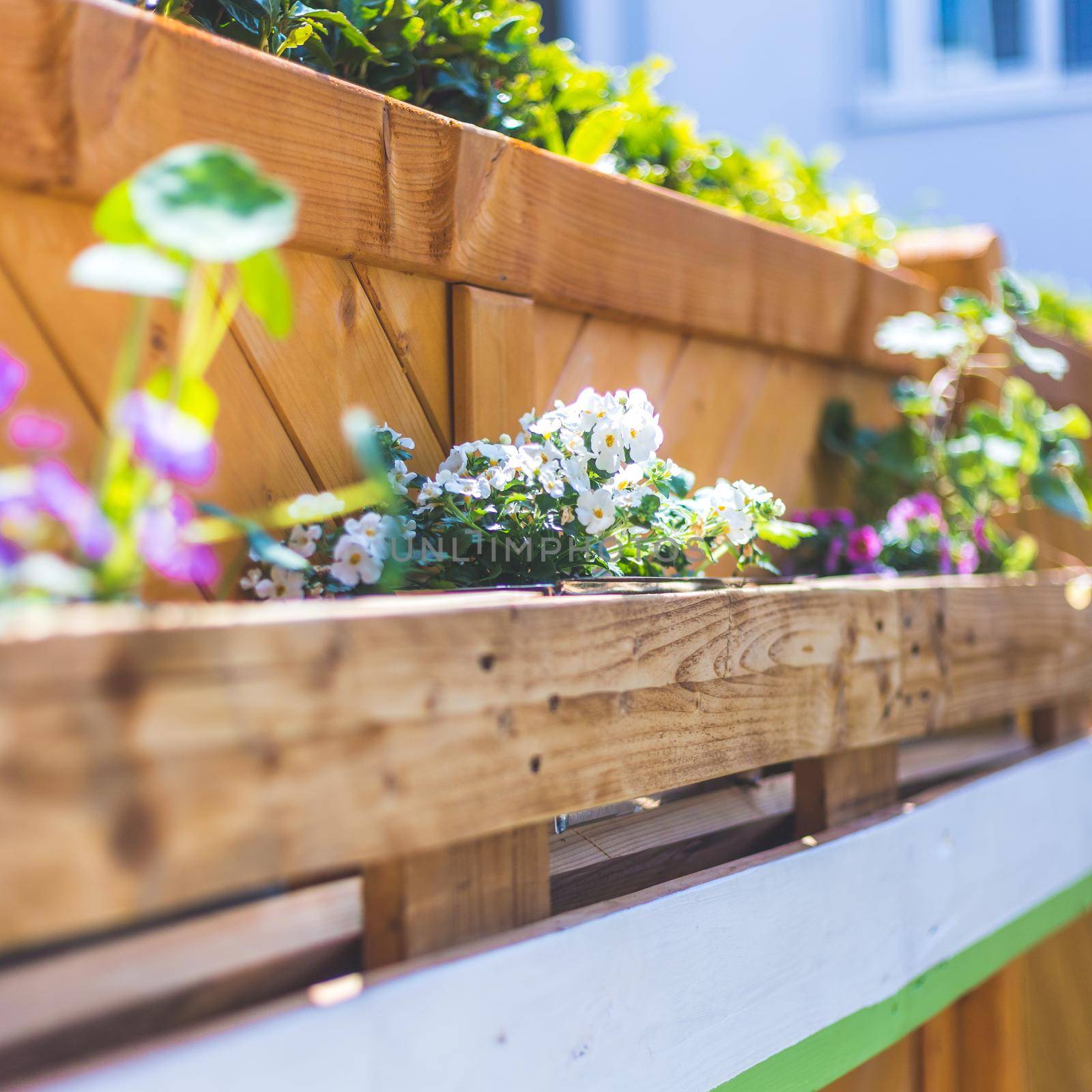 Spring flowers on self-made wooden flower box, euro palette