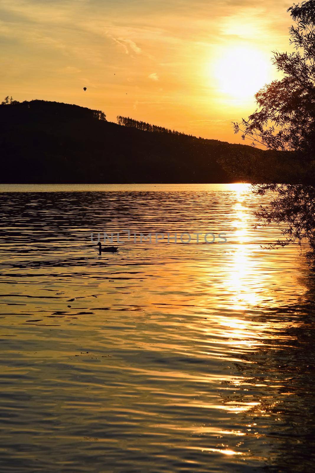 Brno dam. South Moravia. Czech Republic Europe. Recreational area of entertainment and sports. Beautiful countryside with nature, clear water and sunset.