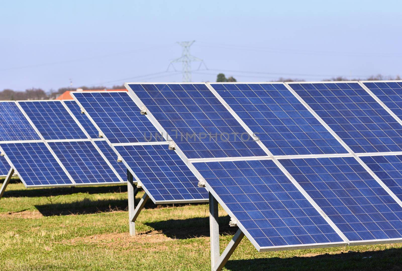 Sun and solar panels in a field. Solar energy power plant. Industrial and ecological concept for nature and eco / green technology. by Montypeter