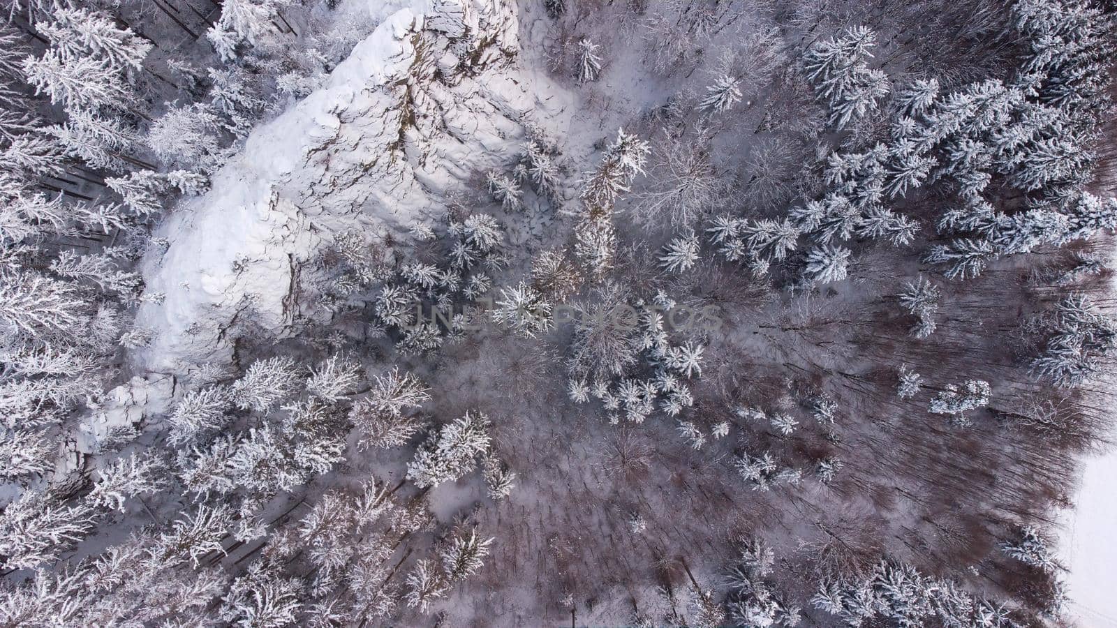 Winter landscape with forest and snow from above from a drone.