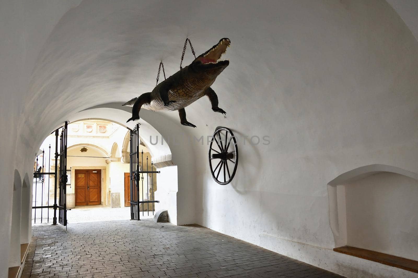 The city of Brno. - Czech Republic - Europe. Gate of the Old City Hall.Brno dragon and wheel. A photo of the beautiful old architecture and tourist attraction with a lookout tower. Tourist Information Center. by Montypeter