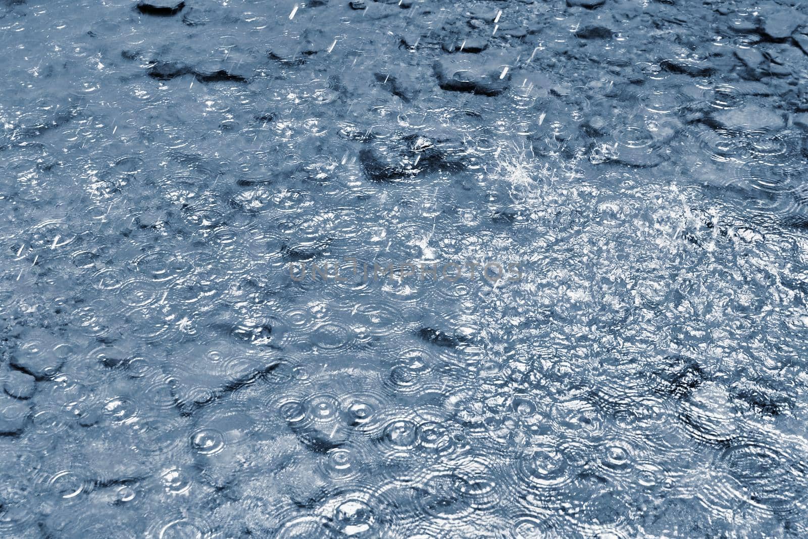 Rain. Beautiful abstract background with bad weather. Rain drops falling into the water.