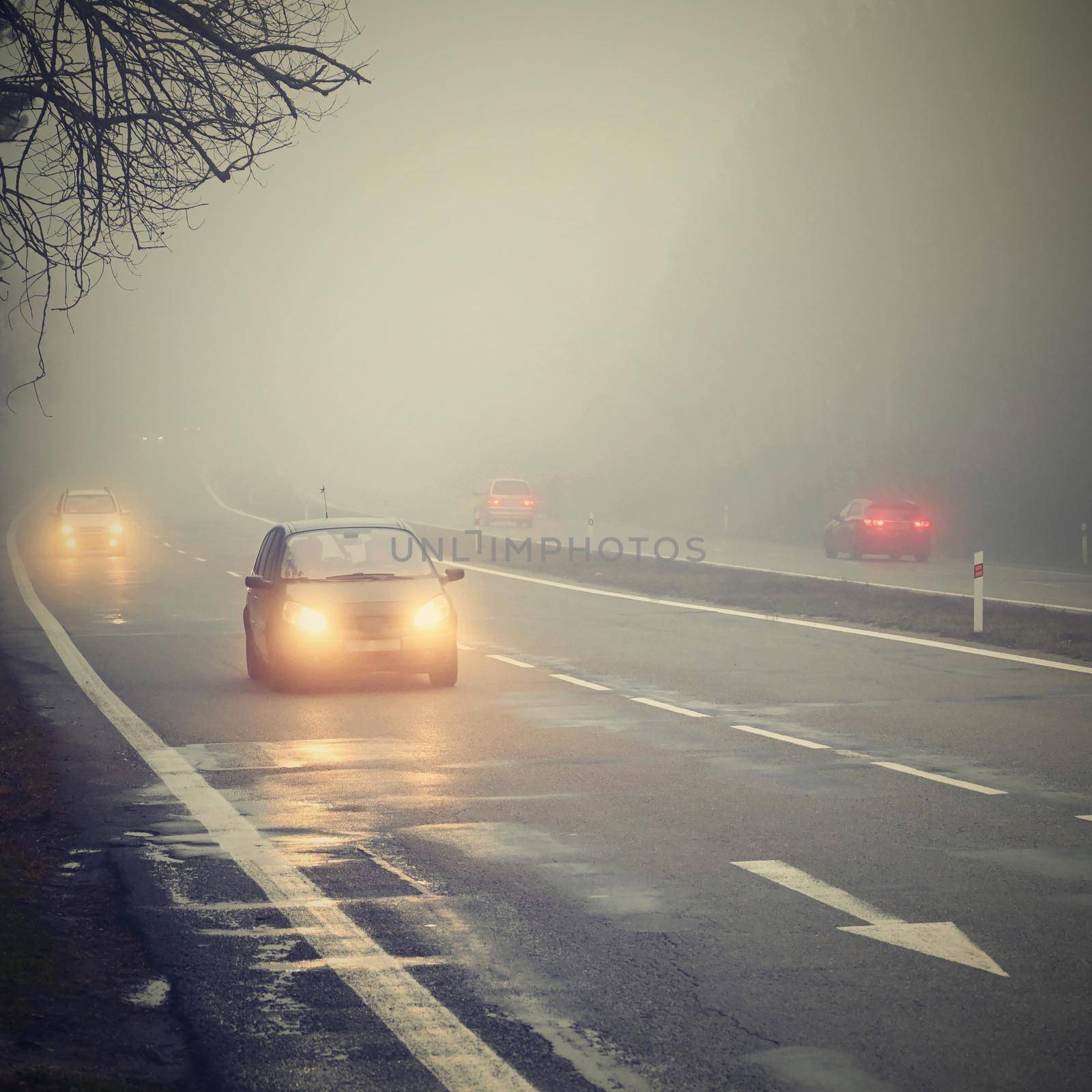 Cars in the fog. Bad winter weather and dangerous automobile traffic on the road. Light vehicles in foggy day. by Montypeter