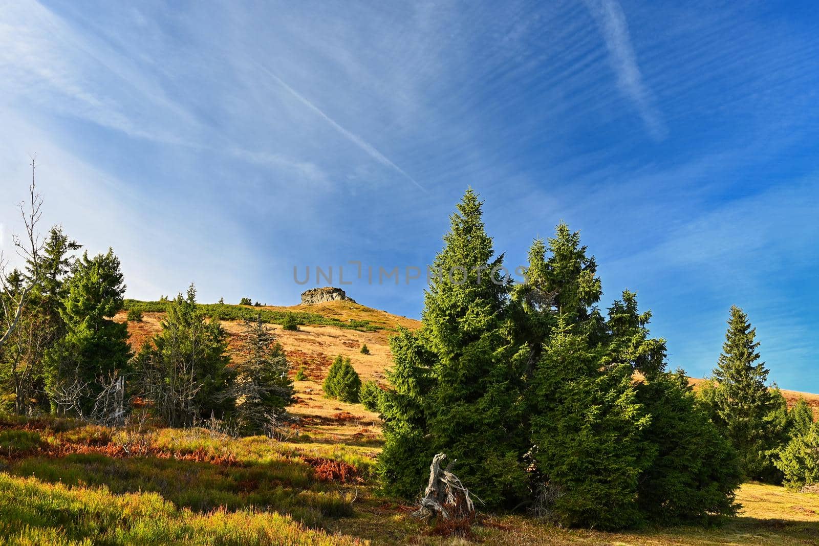 Beautiful landscape with forest and sky on mountains. Pure nature around Jeseníky - Czech Republic - Europe.