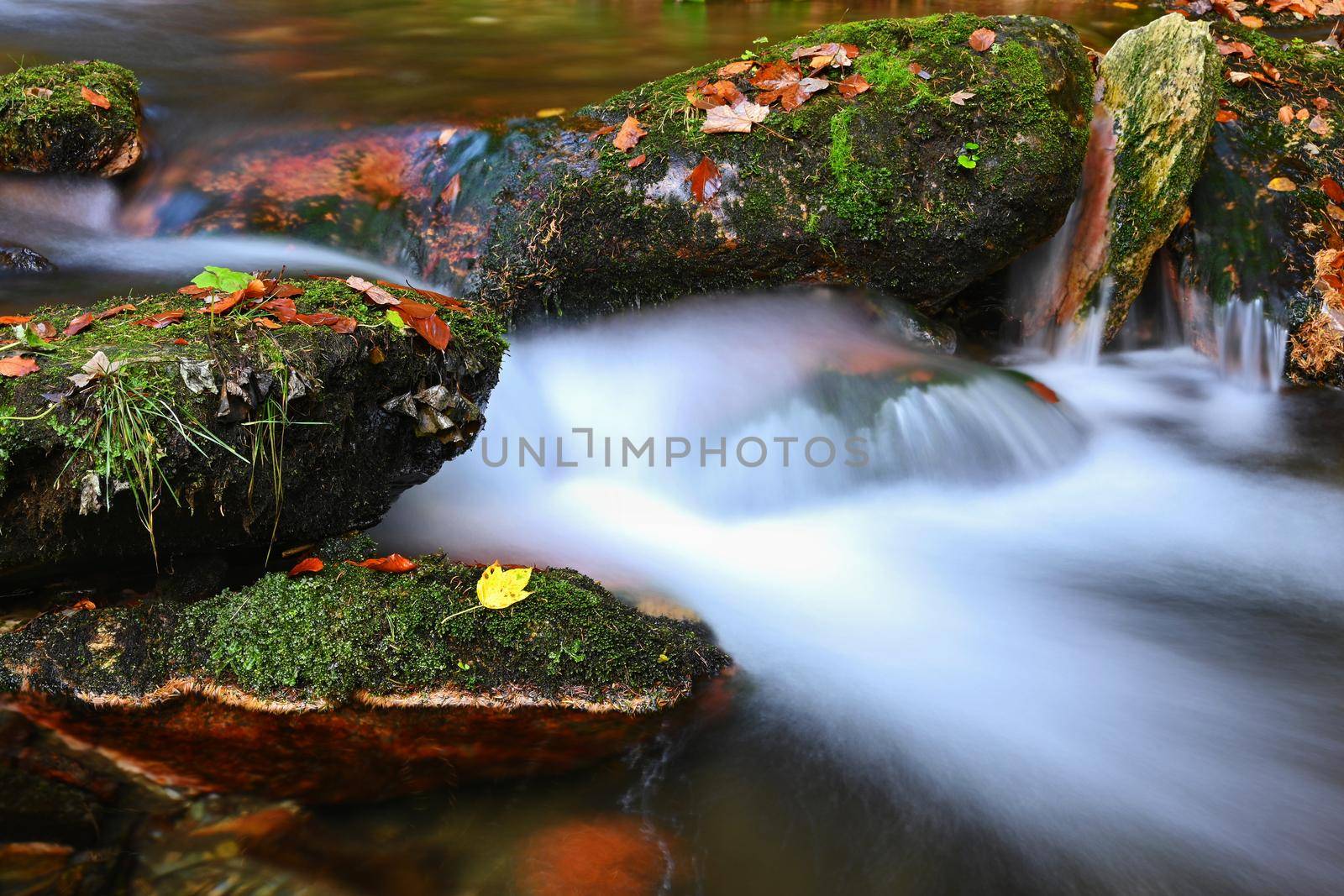 Beautiful colorful background with river and stones in autumn time. White Opava Waterfalls - Jeseniky Mountains - Czech Republic. by Montypeter