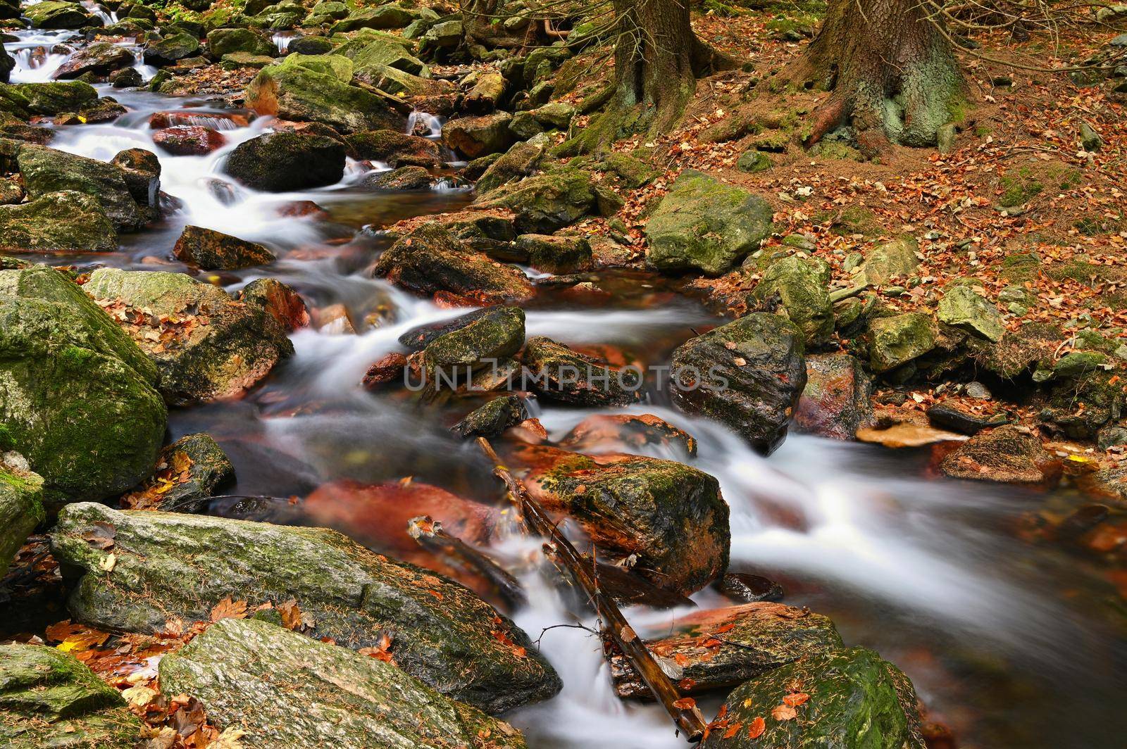 Beautiful colorful background with river and stones in autumn time. White Opava Waterfalls - Jeseniky Mountains - Czech Republic.