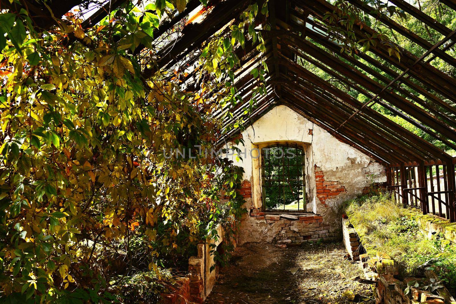 old abandoned greenhouse building in the castle garden.