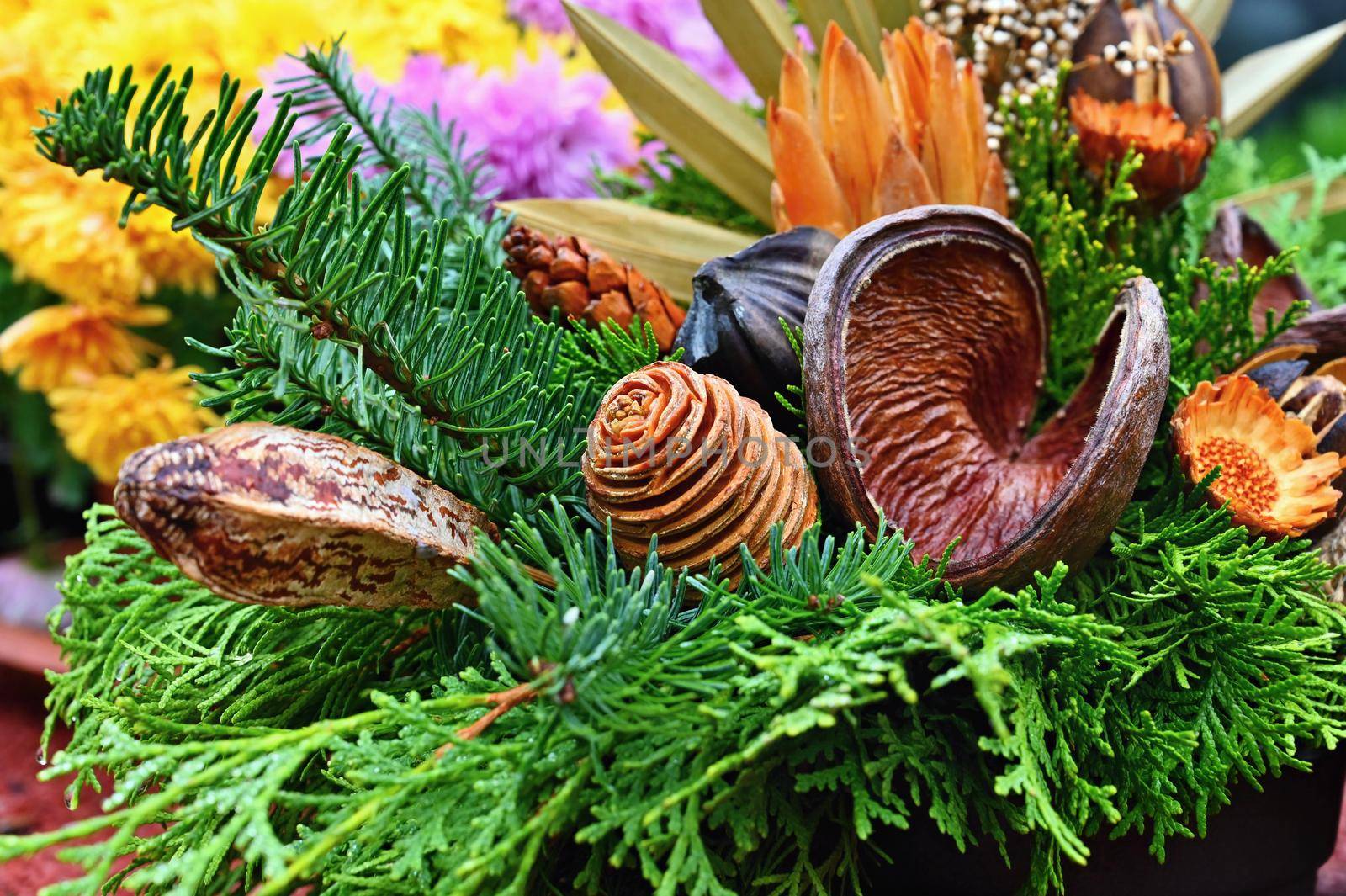 Beautiful colorful natural decoration. Decor for the autumn season.