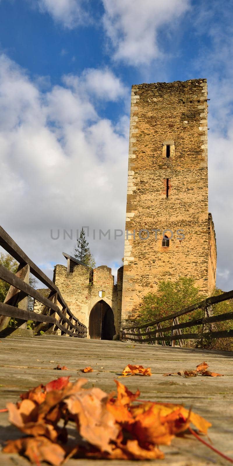 Beautiful autumn landscape in Austria with a nice old ruin of Kaja Castle. National Park Thaya Valley, Lower Austria.  by Montypeter