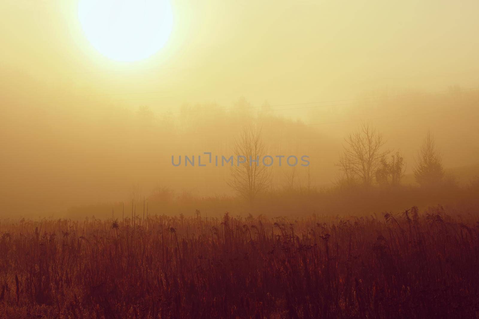 Beautiful shot of morning nature with landscape, fog and sun.