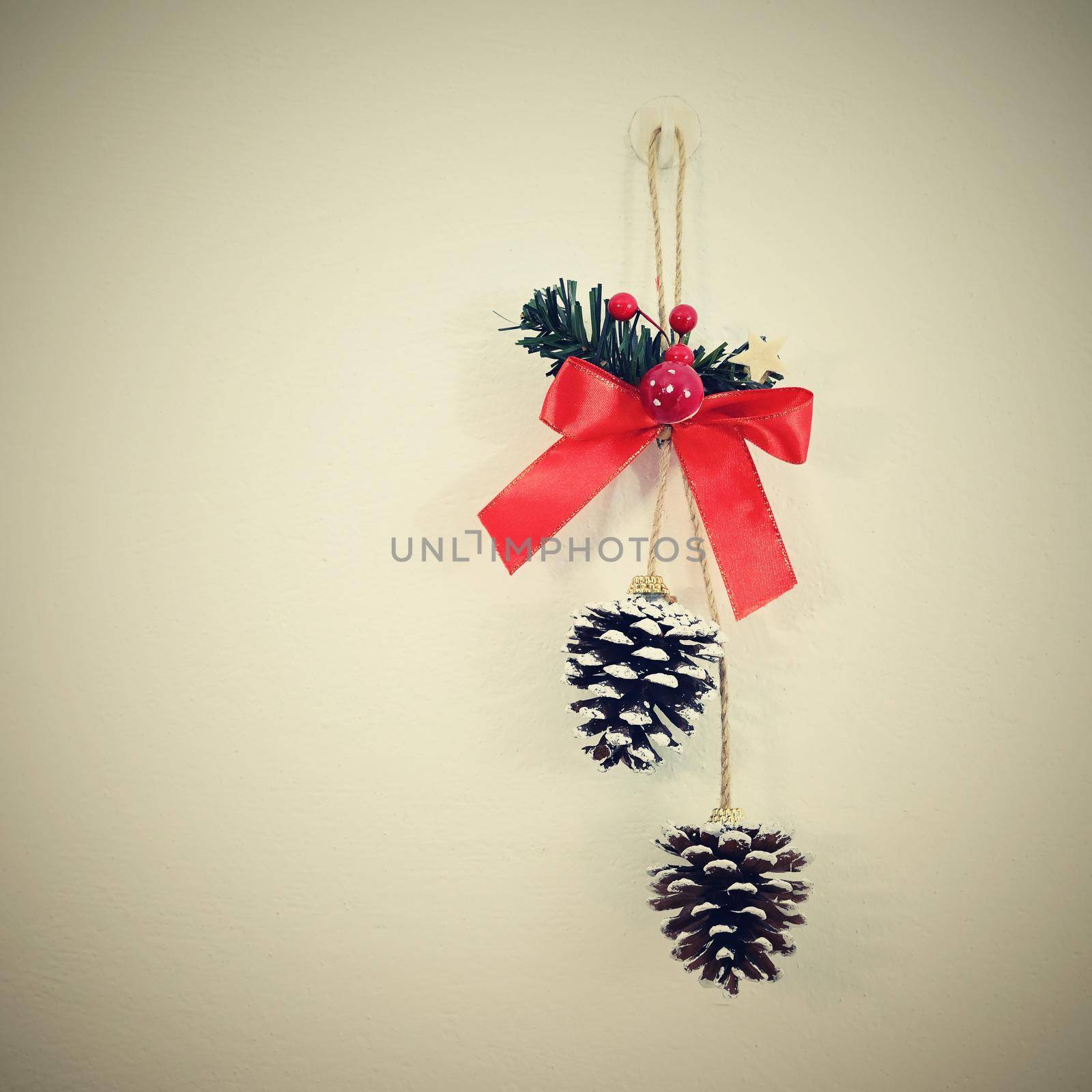 Beautiful natural Christmas decorations. Pine cone from a tree on a white background. by Montypeter