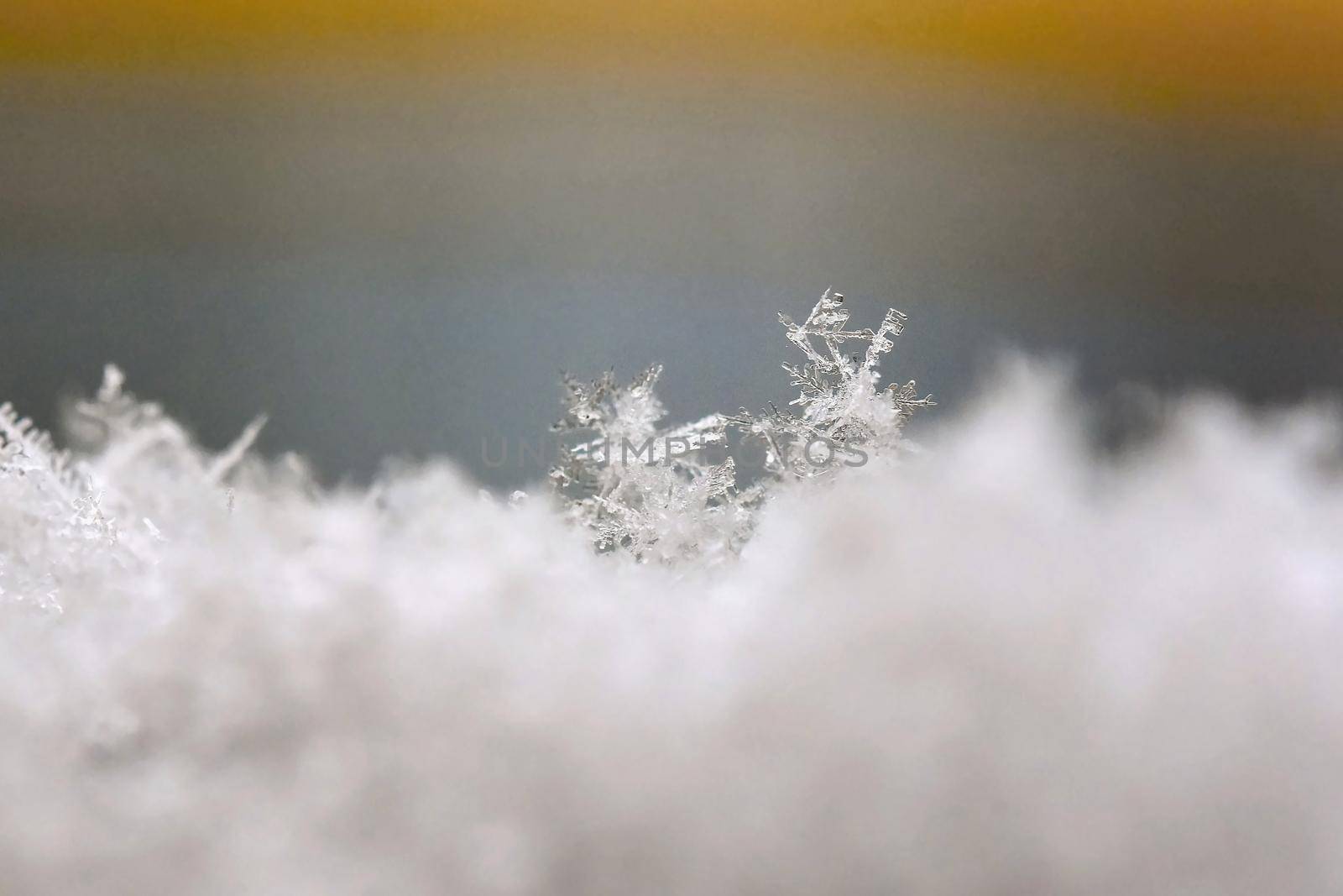 Snowflake. Macro photo of real snow crystal. Beautiful winter background seasonal nature and the weather in winter.