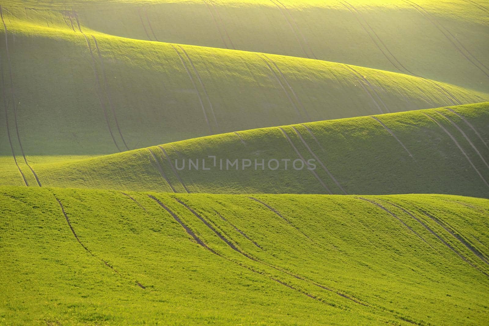 Beautiful spring landscape with field of grass hills at sunset. Waves in nature Moravian Tuscany - Czech Republic - Europe.