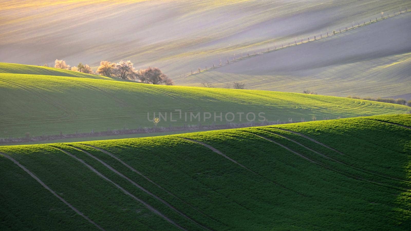 Beautiful spring landscape with field of grass hills at sunset. Waves in nature Moravian Tuscany - Czech Republic - Europe.