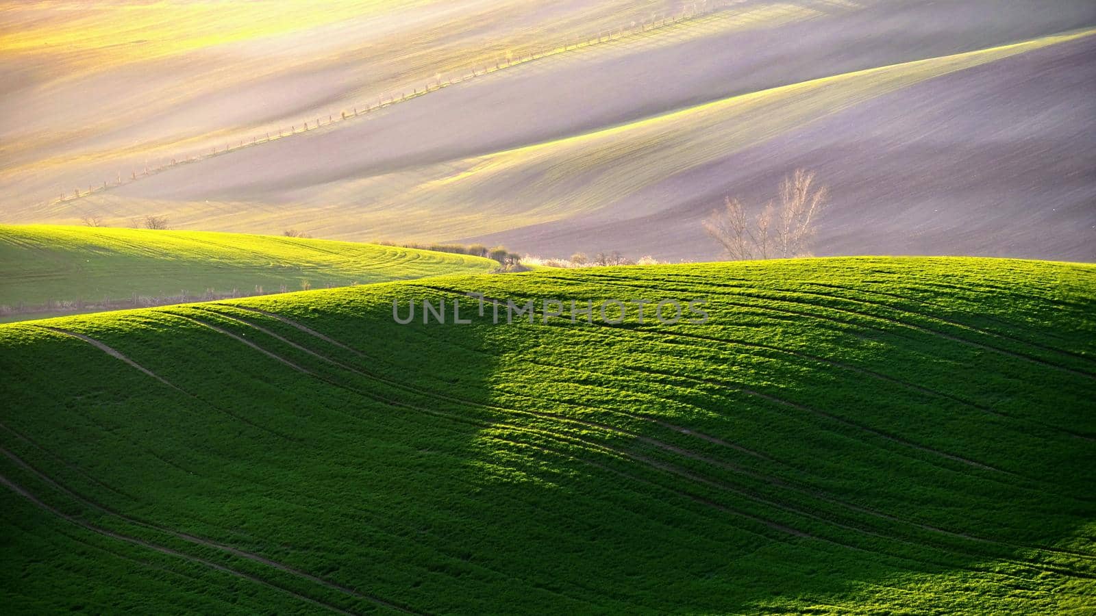 Beautiful spring landscape with field of grass hills at sunset. Waves in nature Moravian Tuscany - Czech Republic - Europe.