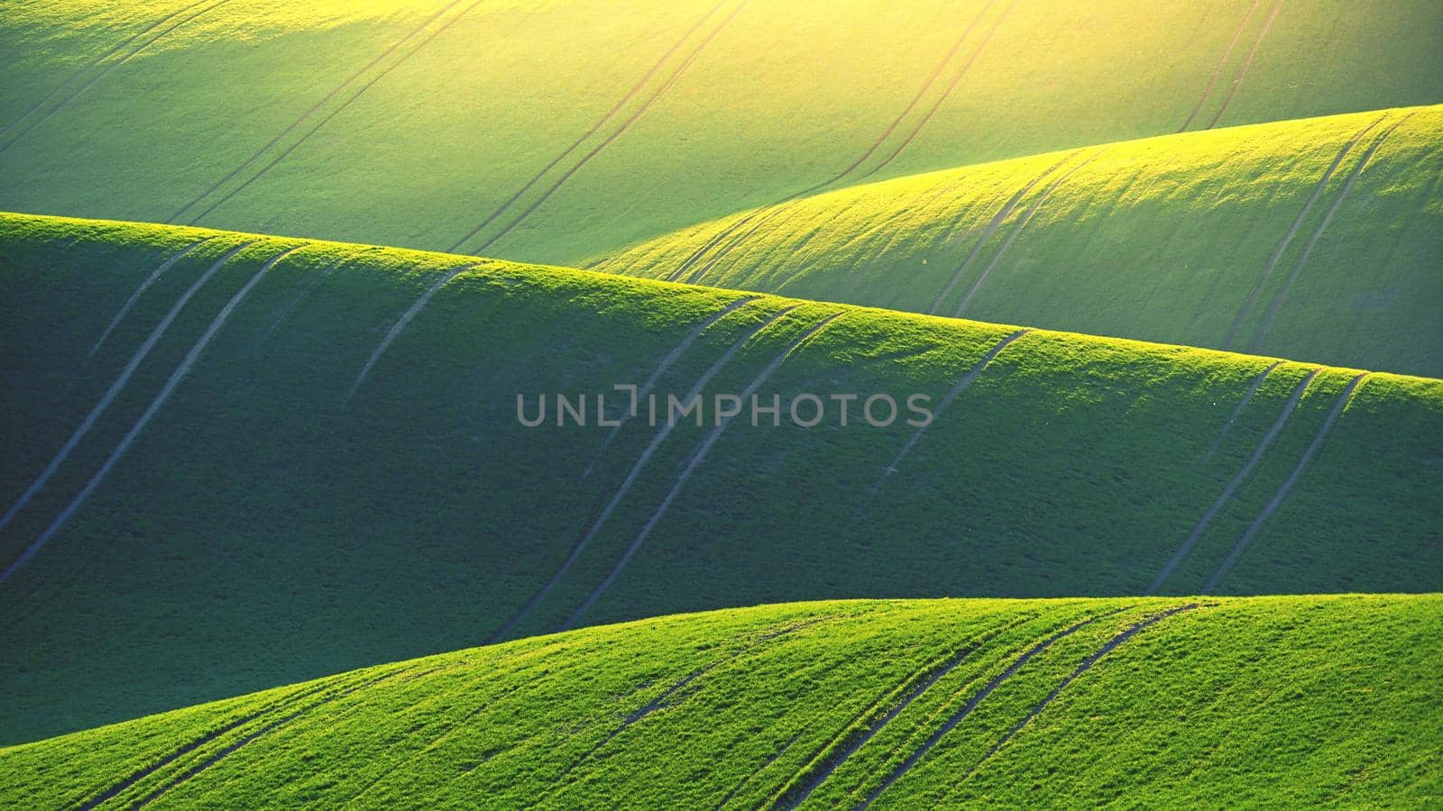 Beautiful spring landscape with field of grass hills at sunset. Waves in nature Moravian Tuscany - Czech Republic - Europe.