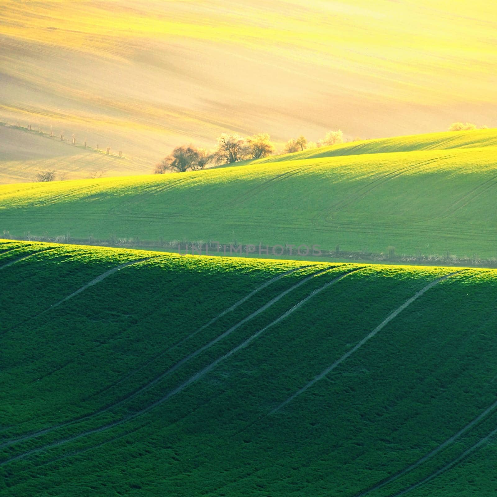 Beautiful spring landscape with field of grass hills at sunset. Waves in nature Moravian Tuscany - Czech Republic - Europe.