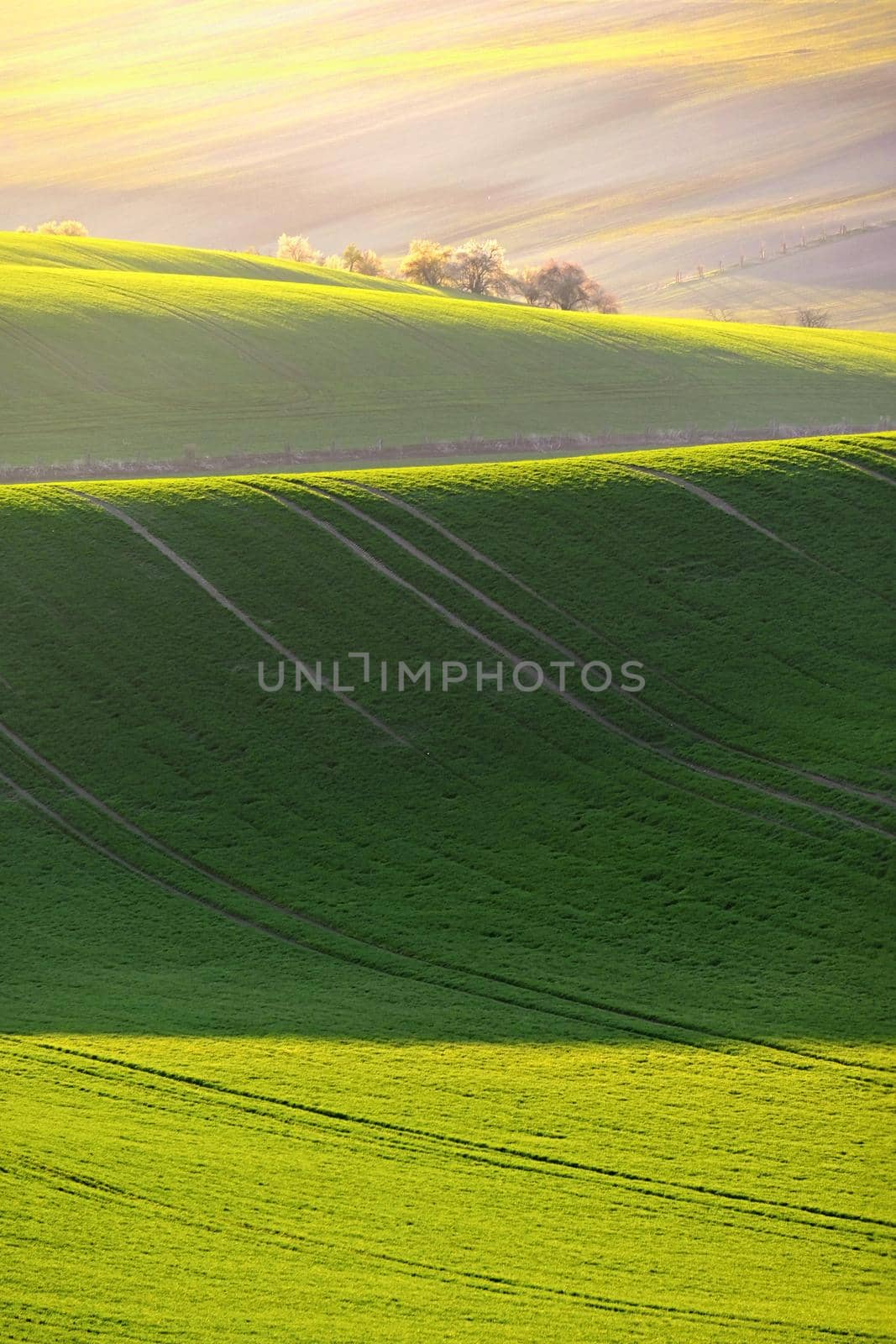 Beautiful spring landscape with field of grass hills at sunset. Waves in nature Moravian Tuscany - Czech Republic - Europe.