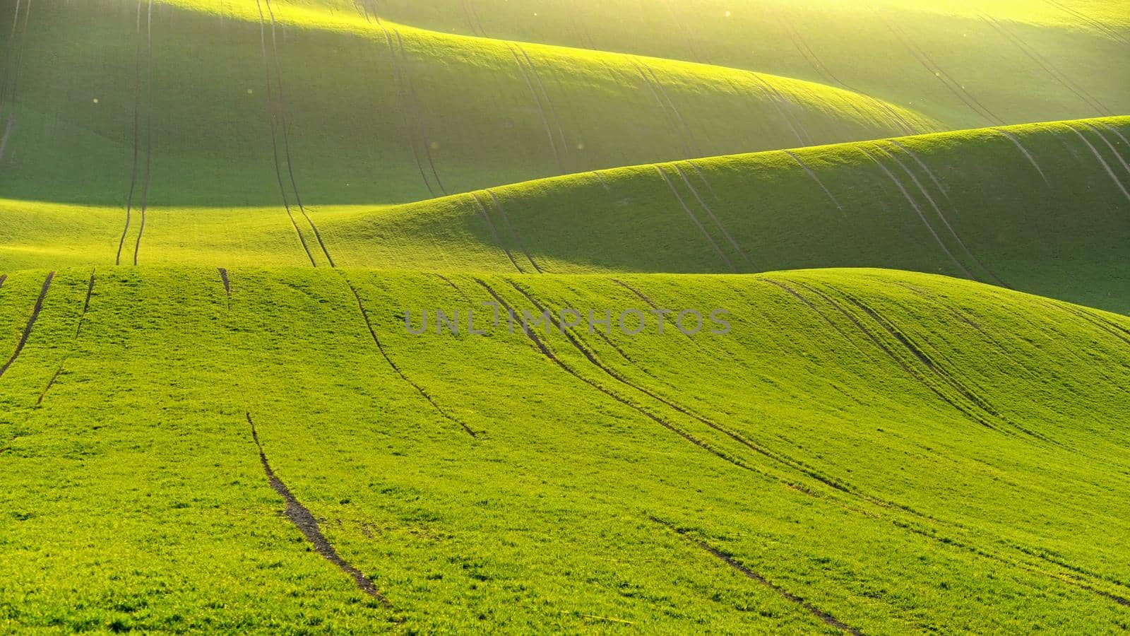 Green spring nature background with setting sun and grass. Waves on the field.  Moravian Tuscany - Czech Republic - Europe.