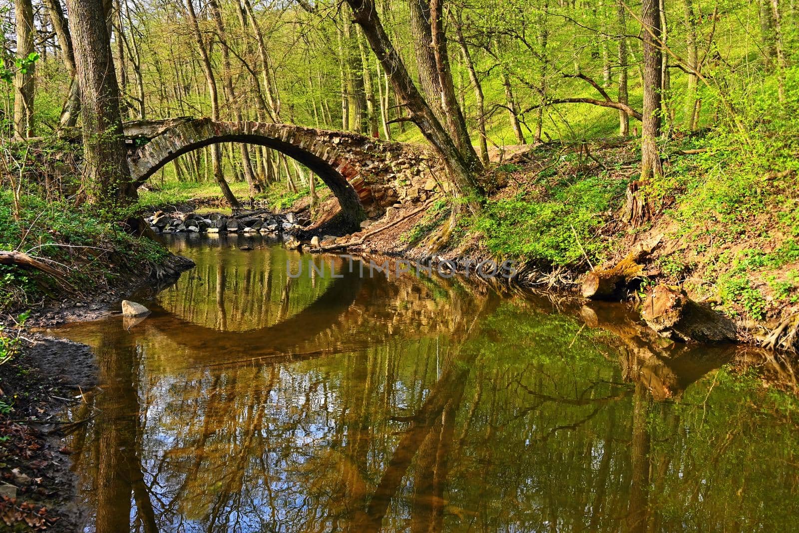 Beautiful old bridge over a stream in the woods. Natural green background from spring forest.