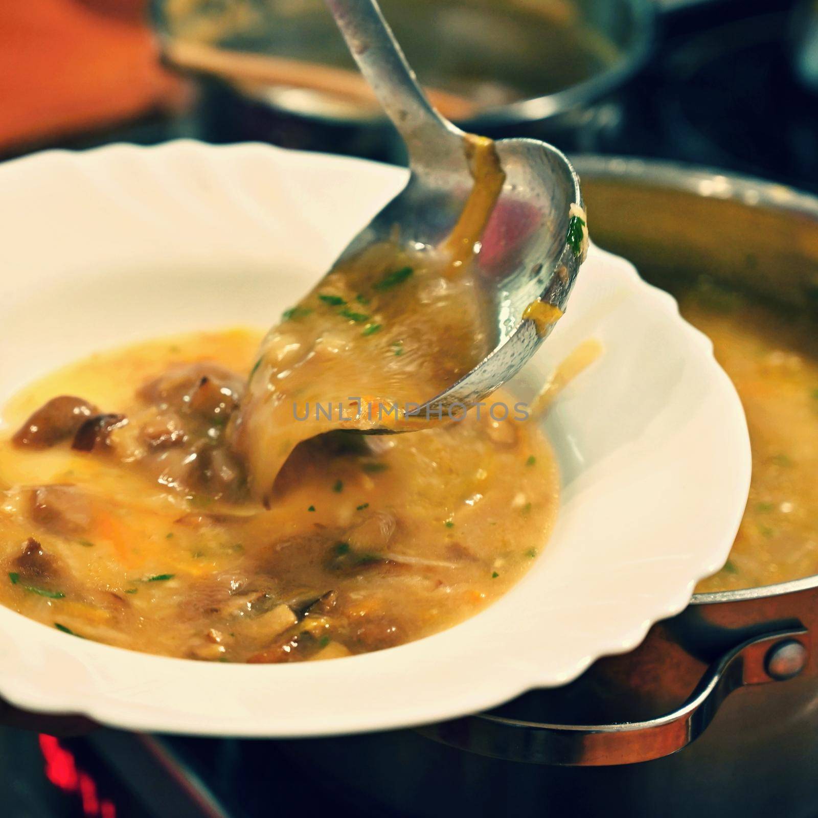 Taking soup into a plate. Delicious homemade mushroom soup served in a plate. by Montypeter