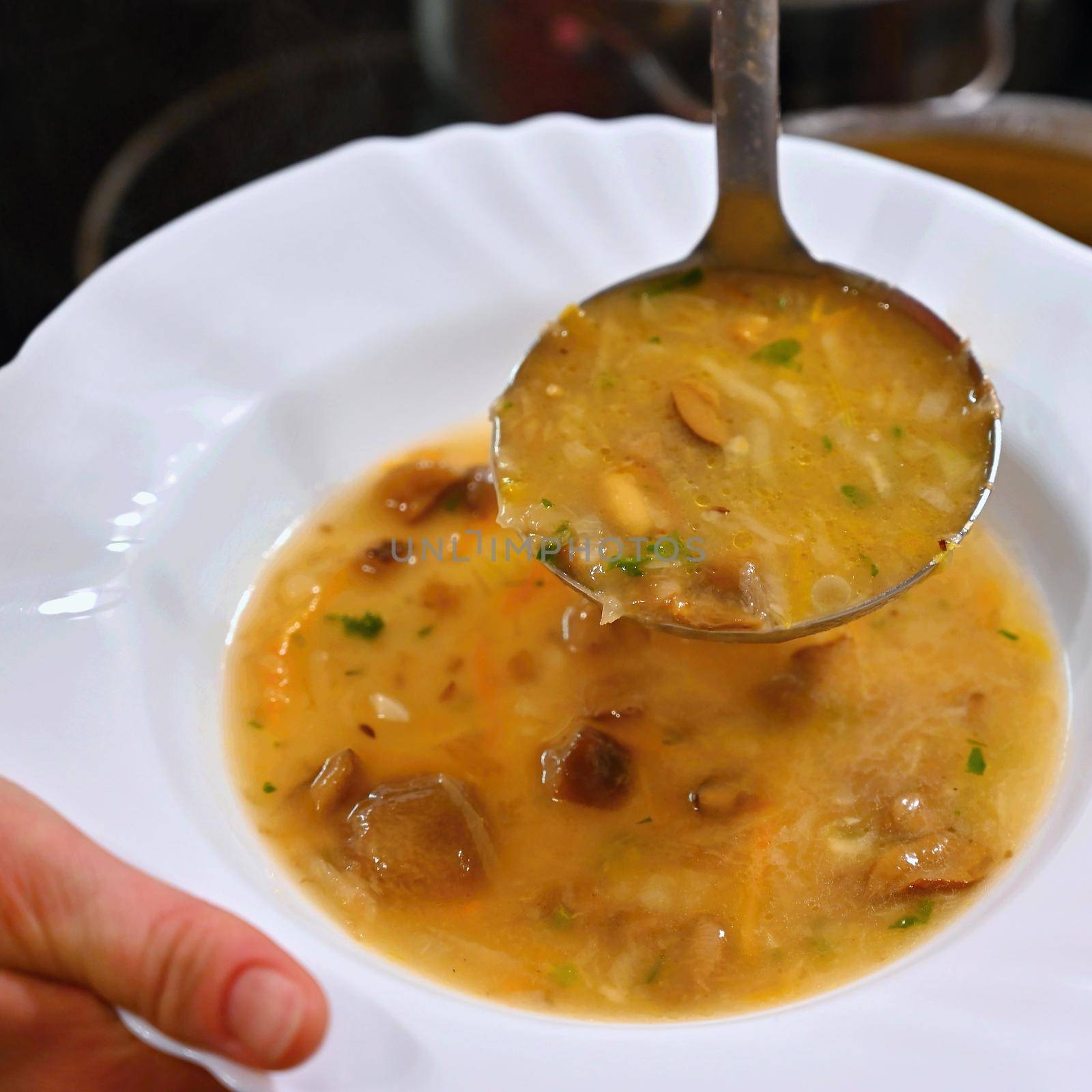 Taking soup into a plate. Delicious homemade mushroom soup served in a plate.