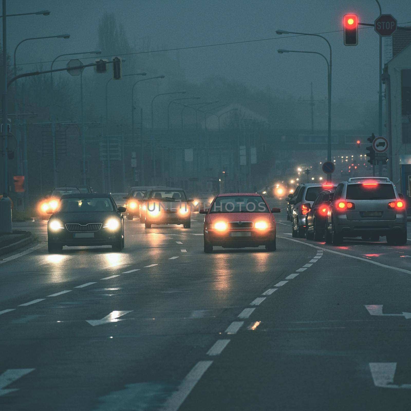 Cars in the fog. Bad winter weather and dangerous automobile traffic on the road. Light vehicles in foggy day. by Montypeter