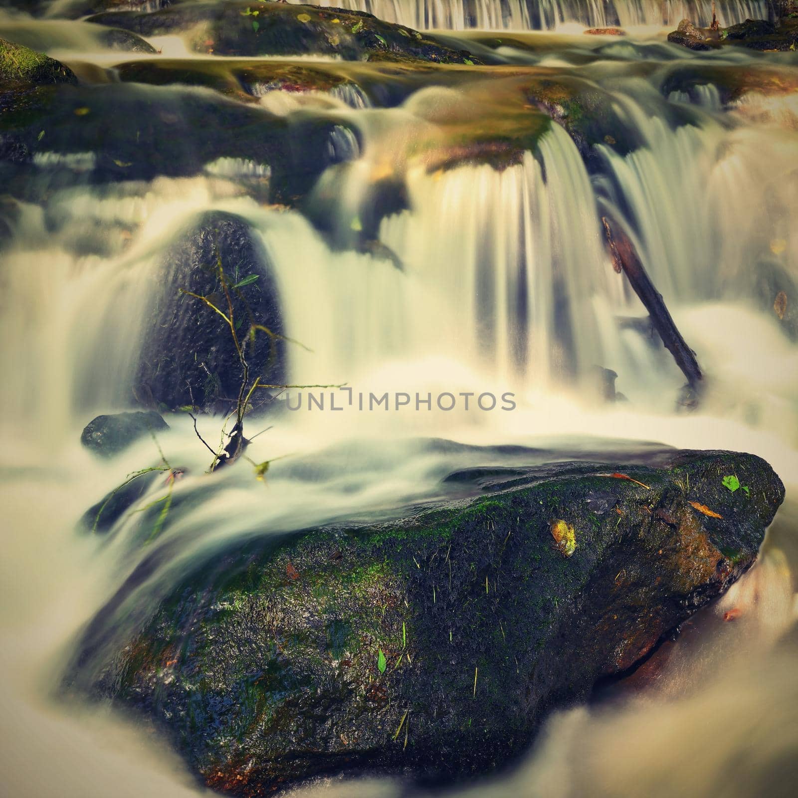 Beautiful landscape with nature and river with stones in the forest. by Montypeter