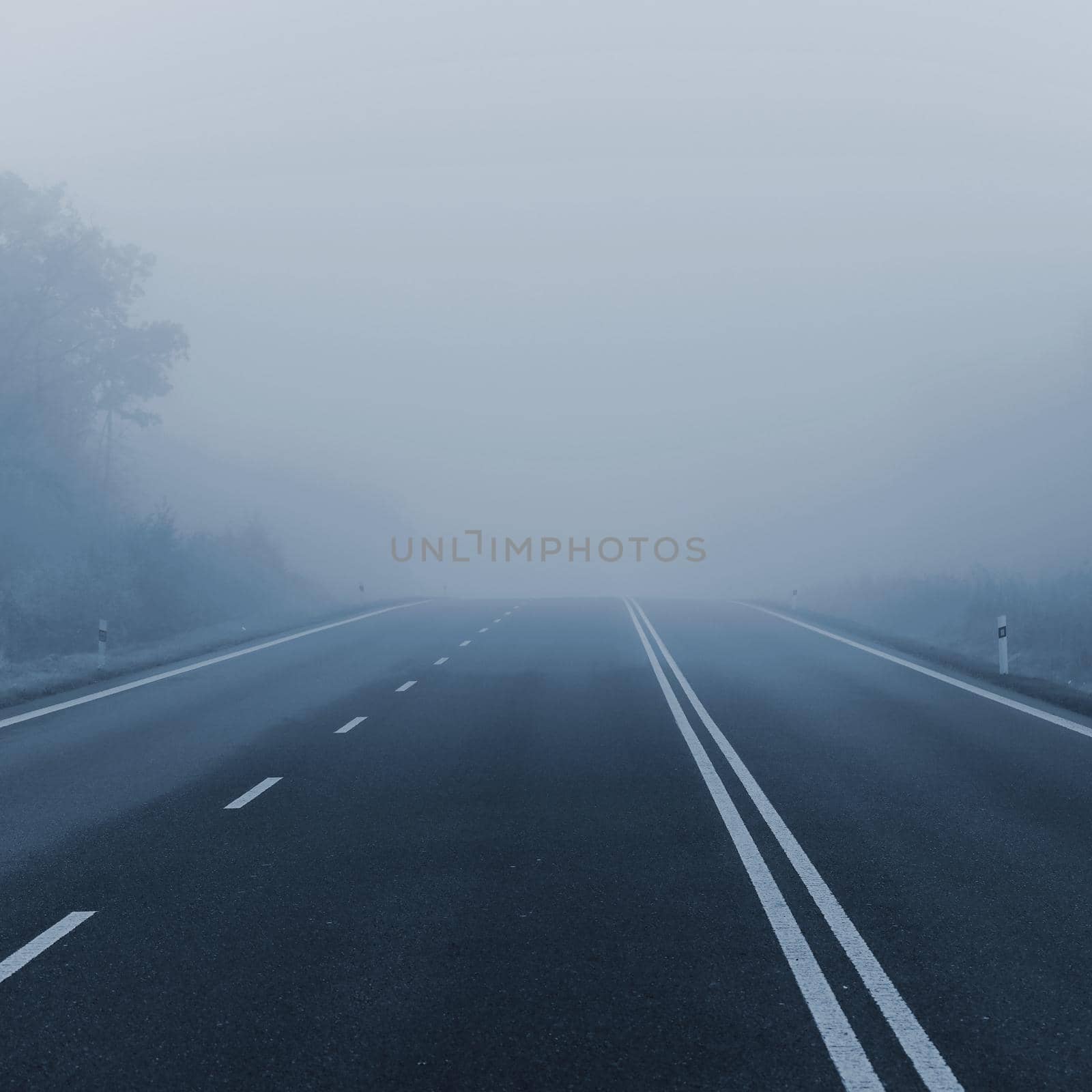 Road in the fog. Autumn season.