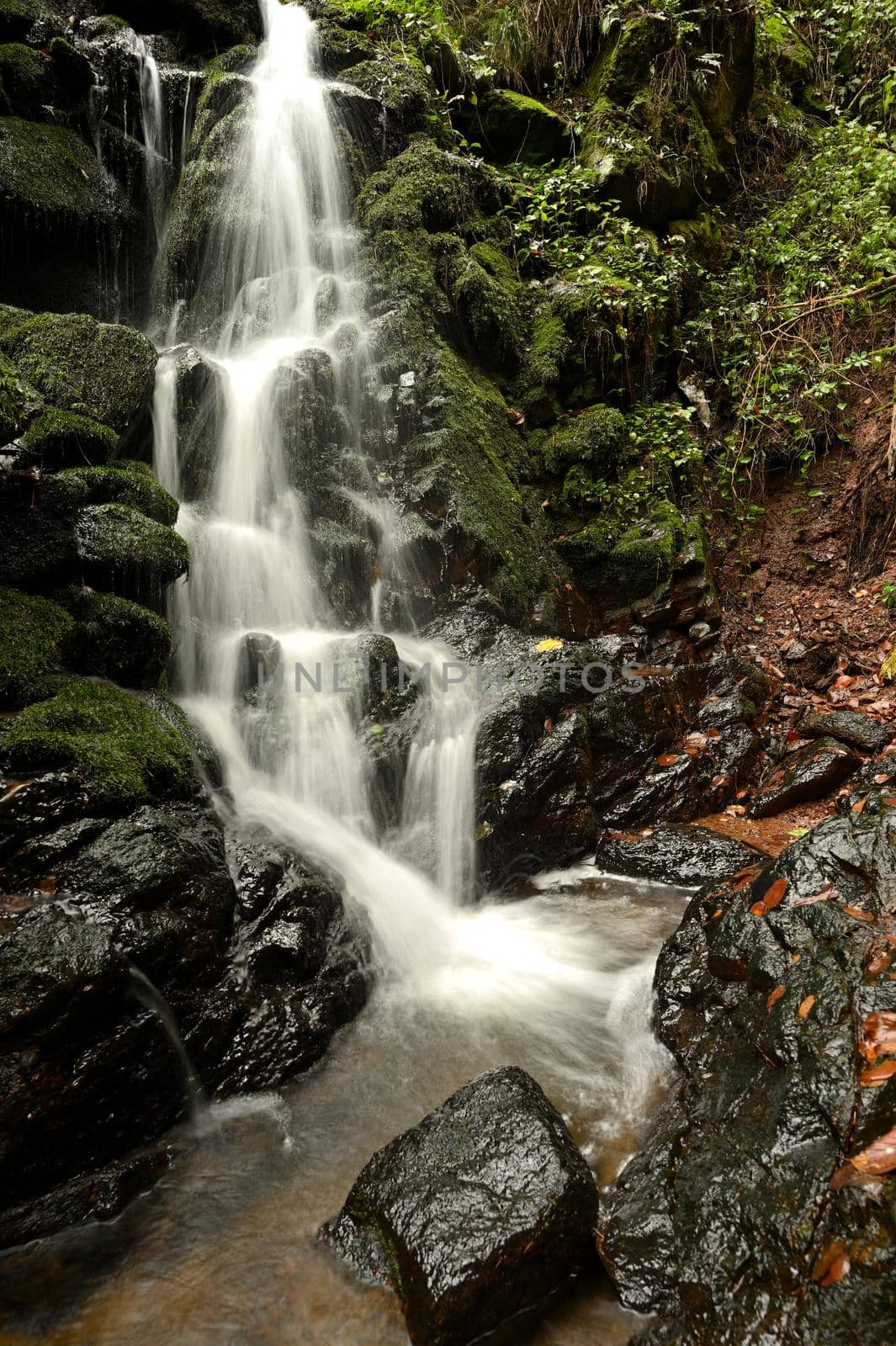 Nature - beautiful small waterfall on the creek. Natural colorful background with running water over stones in the forest.