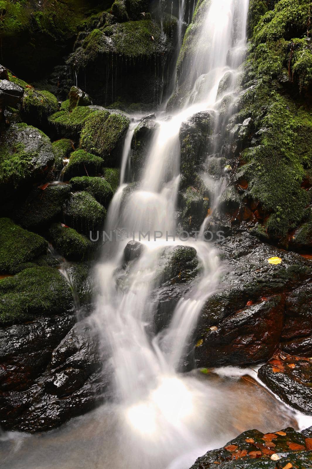 Nature - beautiful small waterfall on the creek. Natural colorful background with running water over stones in the forest.