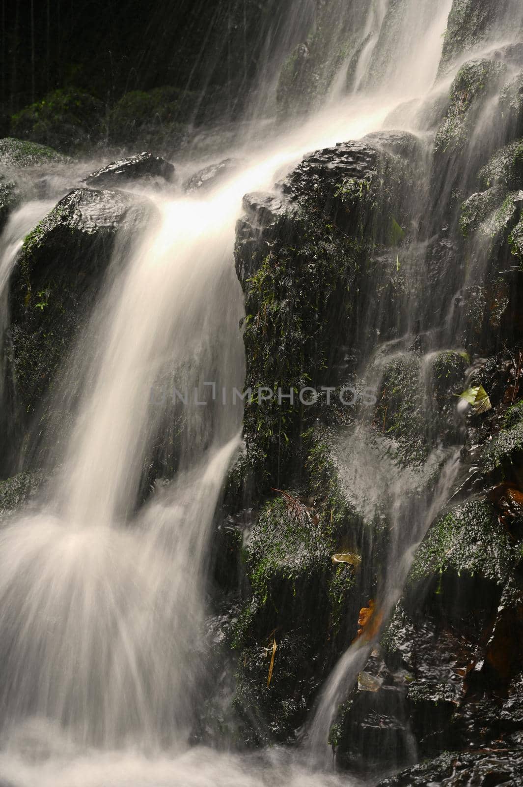 Nature - beautiful small waterfall on the creek. Natural colorful background with running water over stones in the forest. by Montypeter