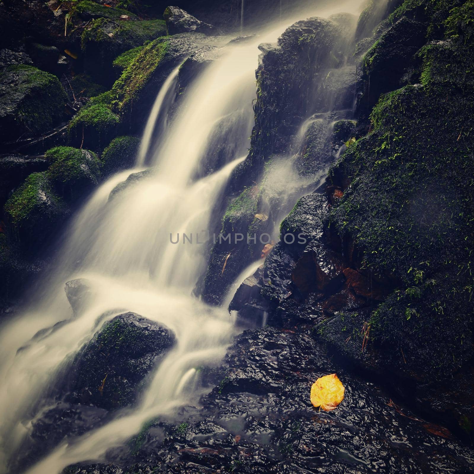 Nature - beautiful small waterfall on the creek. Natural colorful background with running water over stones in the forest.