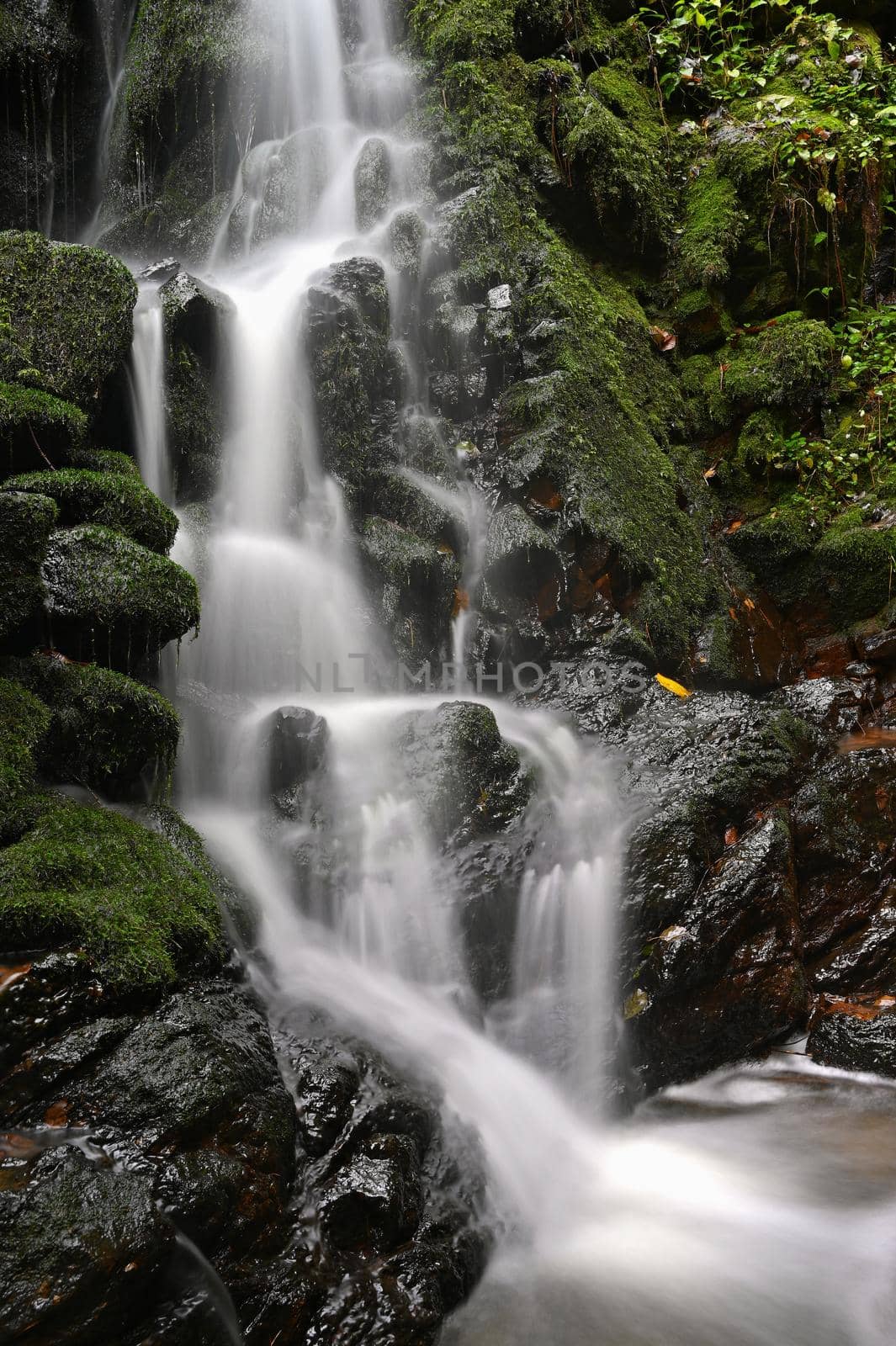 Nature - beautiful small waterfall on the creek. Natural colorful background with running water over stones in the forest.