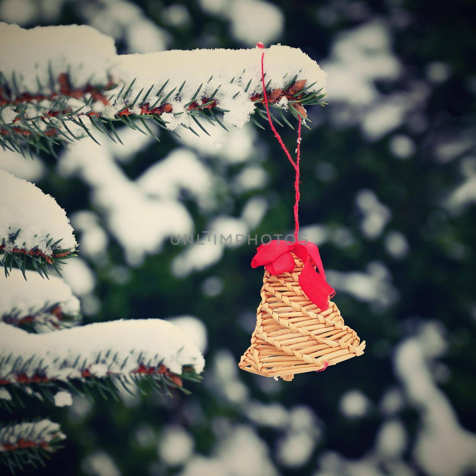 Beautiful natural Christmas decorations made of straw on a snowy Christmas tree. Winter nature colorful outdoor background for the holidays.