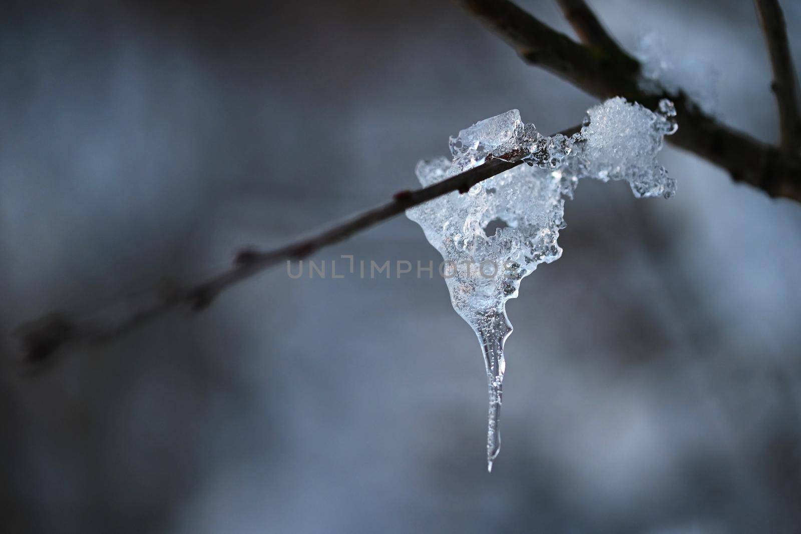 Winter landscape. Frost on branches. Beautiful winter seasonal natural background.