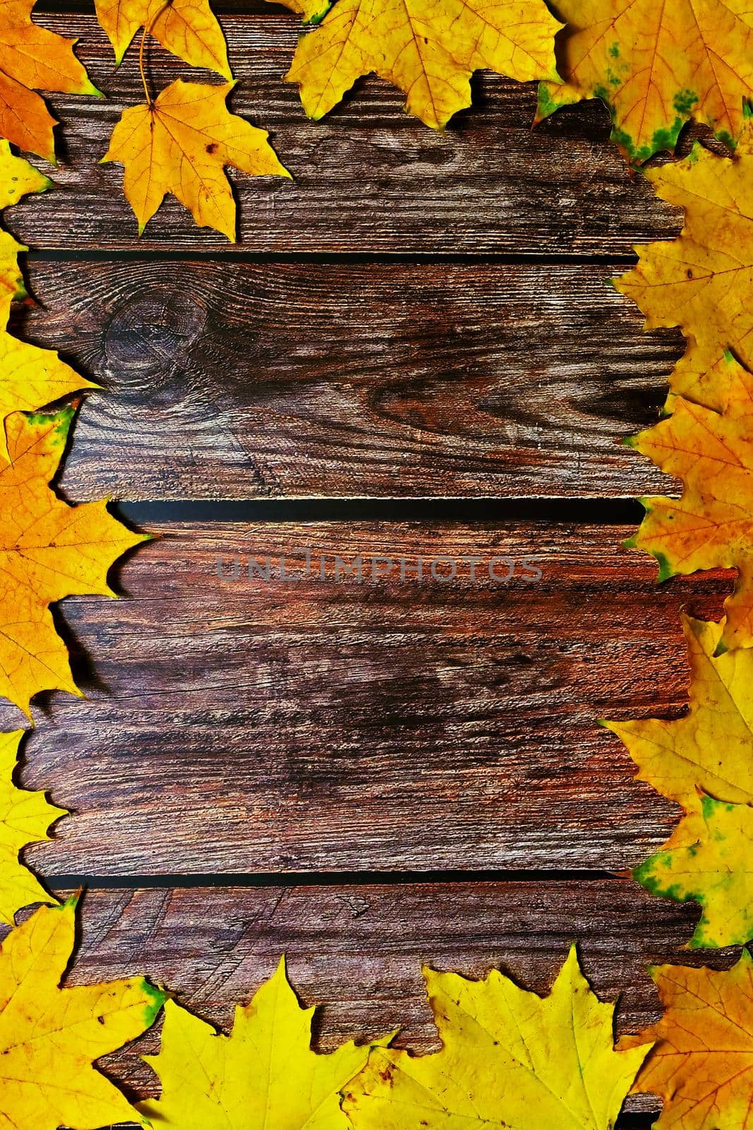 Autumn background with colored leaves on wooden board. Flat lay, top view, copy space. by Montypeter