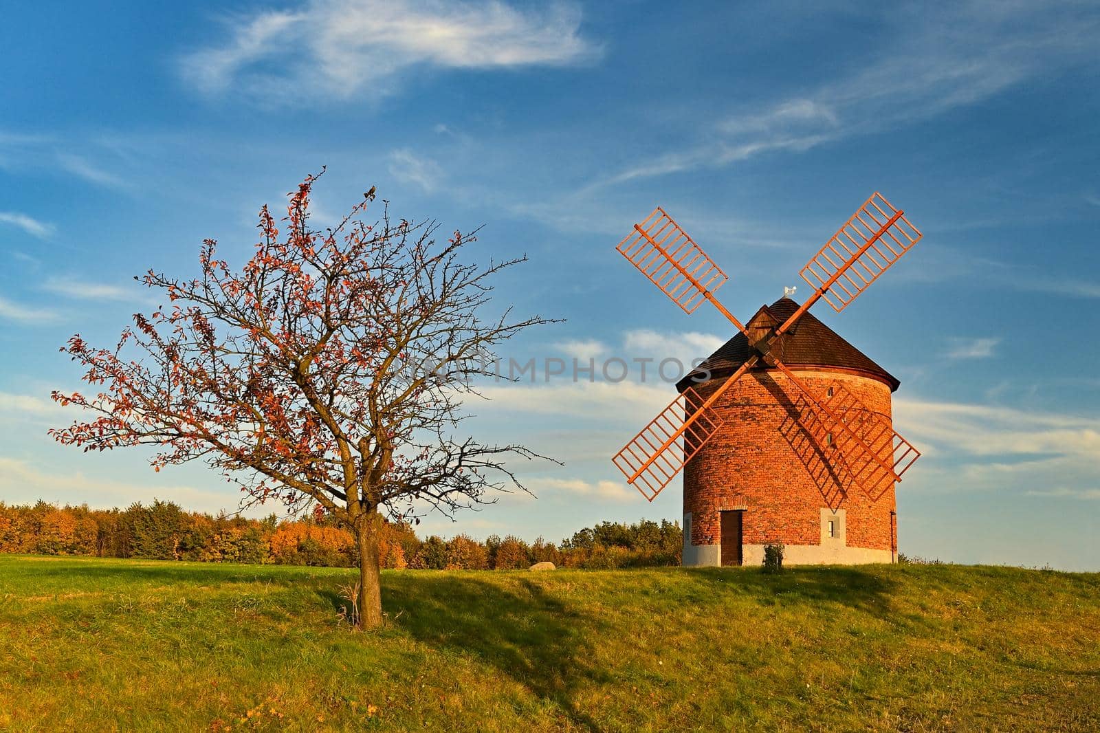 Beautiful autumn landscape with old windmill at sunset and beautiful blue sky with clouds. Colorful nature background on autumn season. Chvalkovice - Czech Republic.