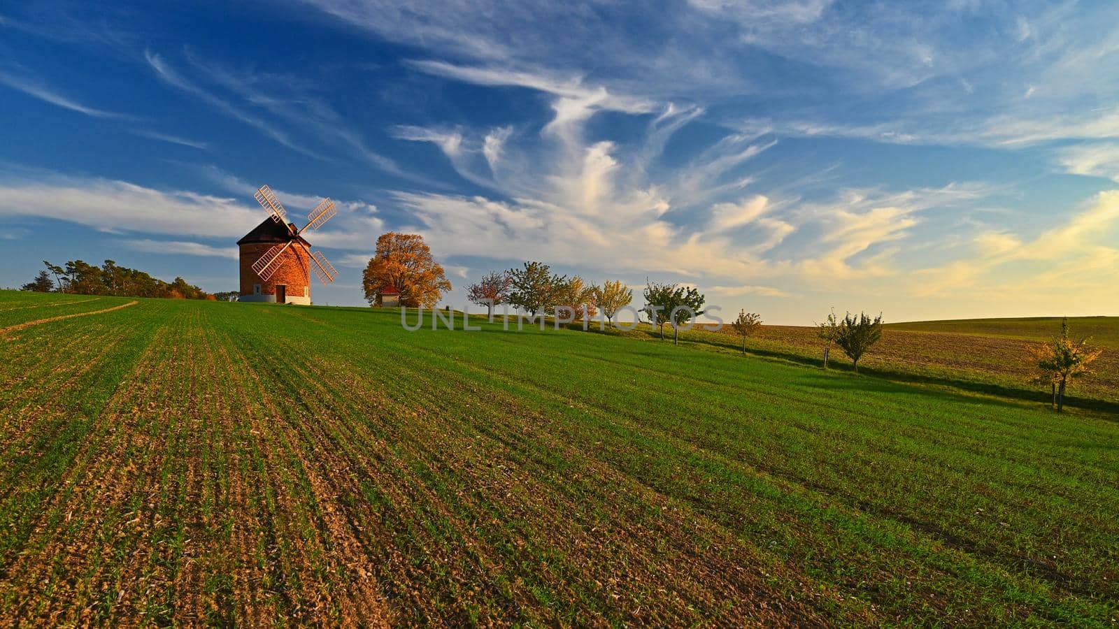 Beautiful autumn landscape with old windmill at sunset and beautiful blue sky with clouds. Colorful nature background on autumn season. Chvalkovice - Czech Republic.