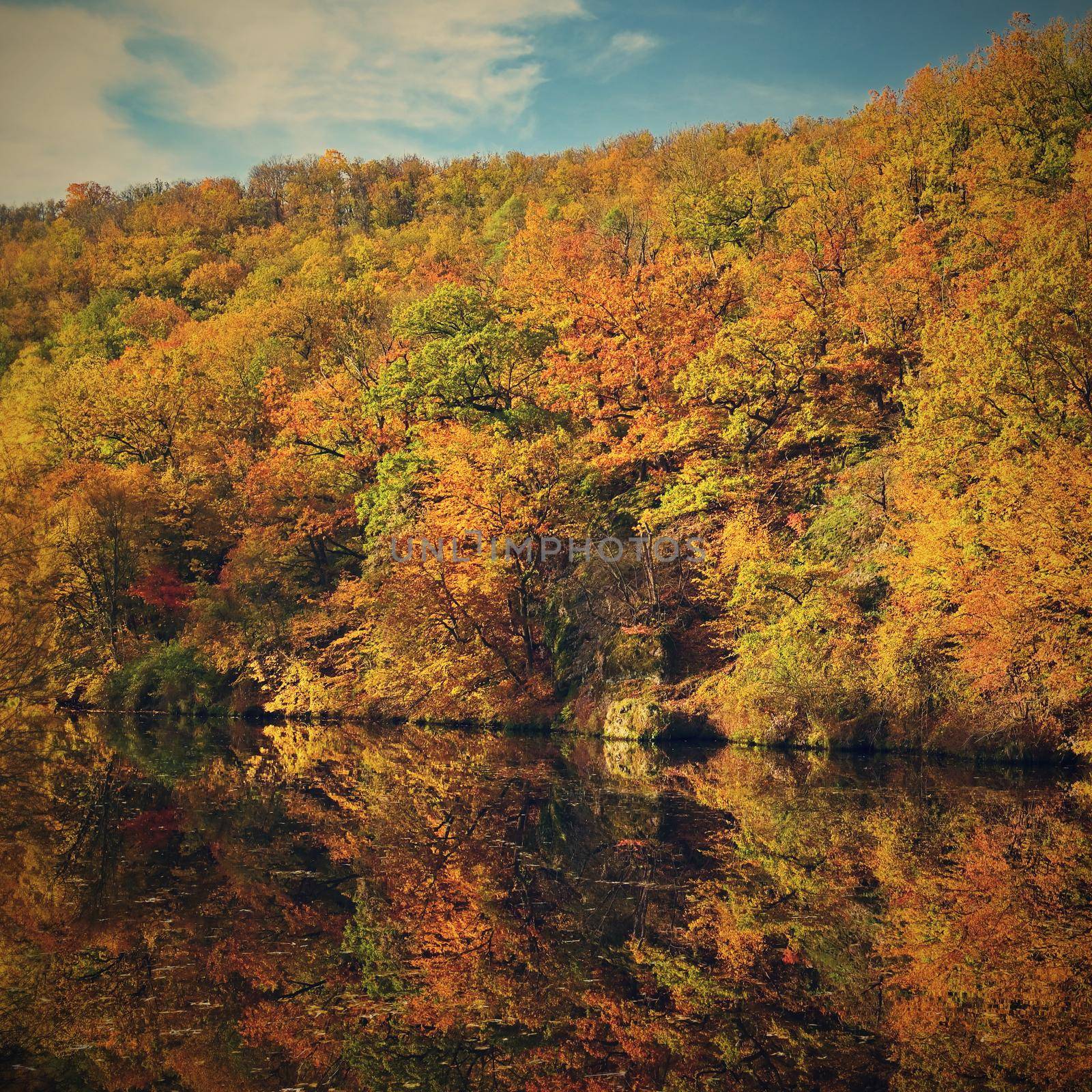 Beautiful autumn landscape. Natural colorful background by Montypeter