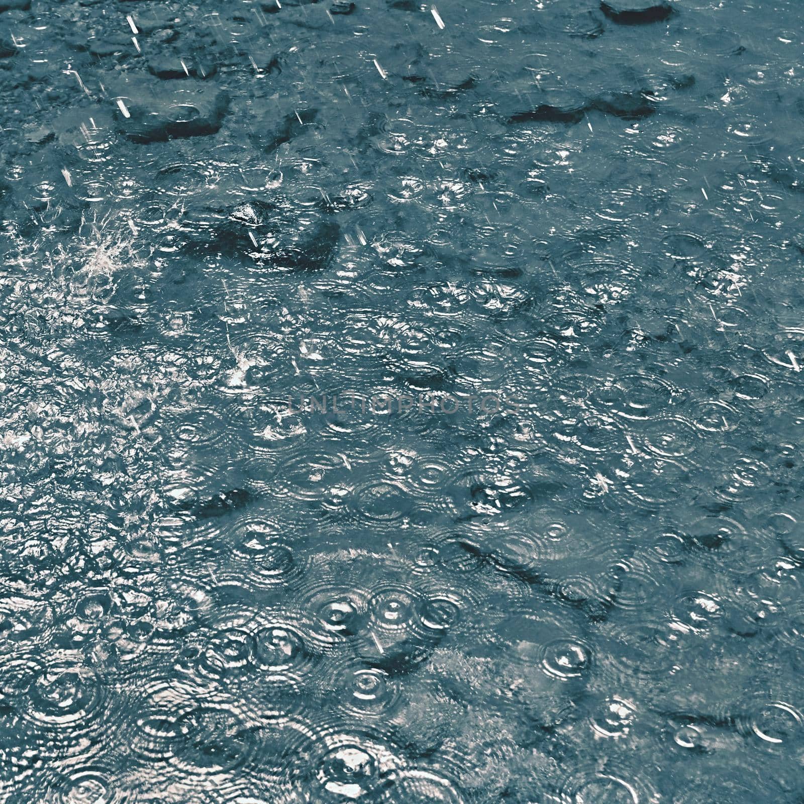 Rain. Beautiful abstract background with bad weather. Rain drops falling into the water.