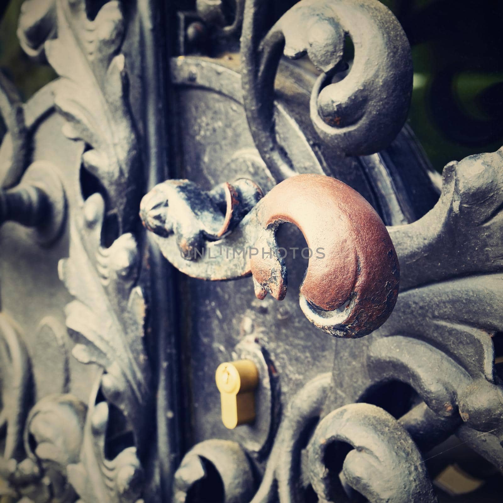 Beautiful old gate. Nice handmade blacksmith work. by Montypeter