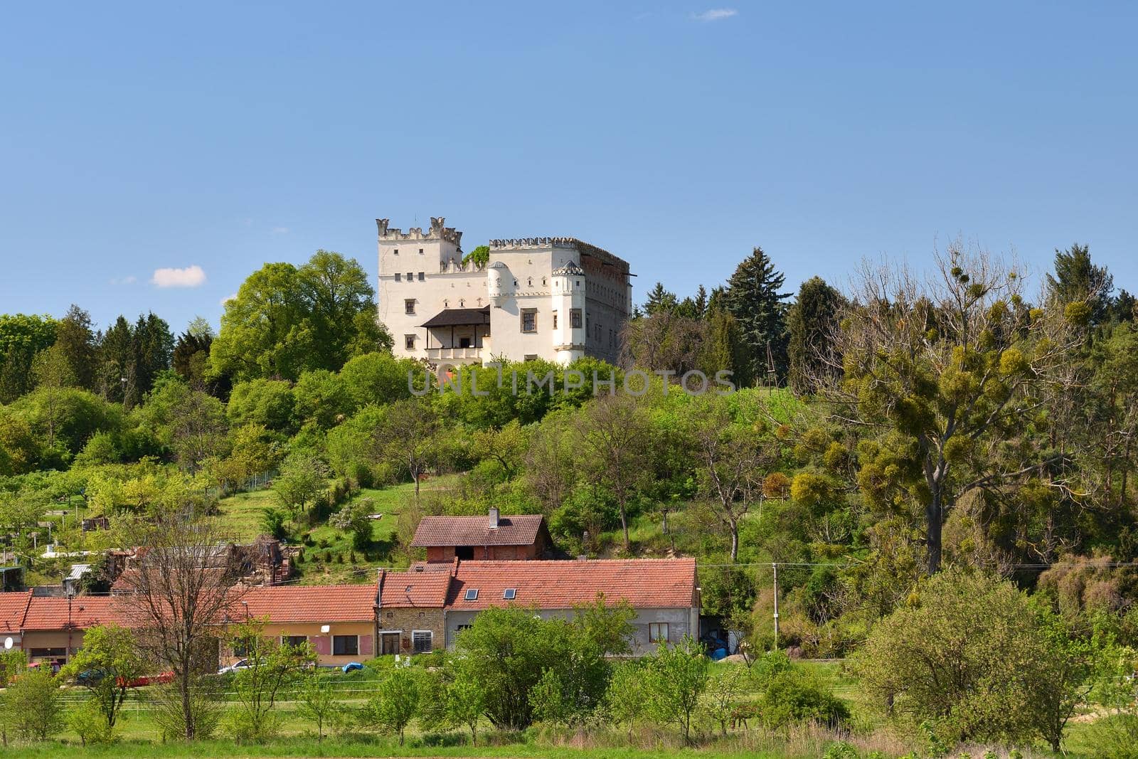 castle Nesovice - Czech republic. 