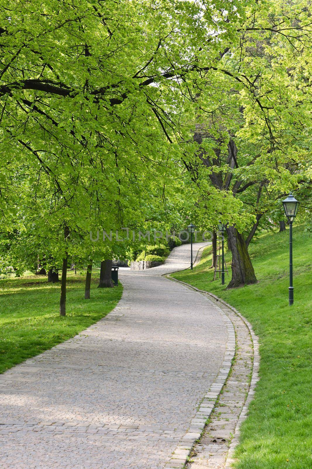 Beautiful green spring park. The journey nature. by Montypeter