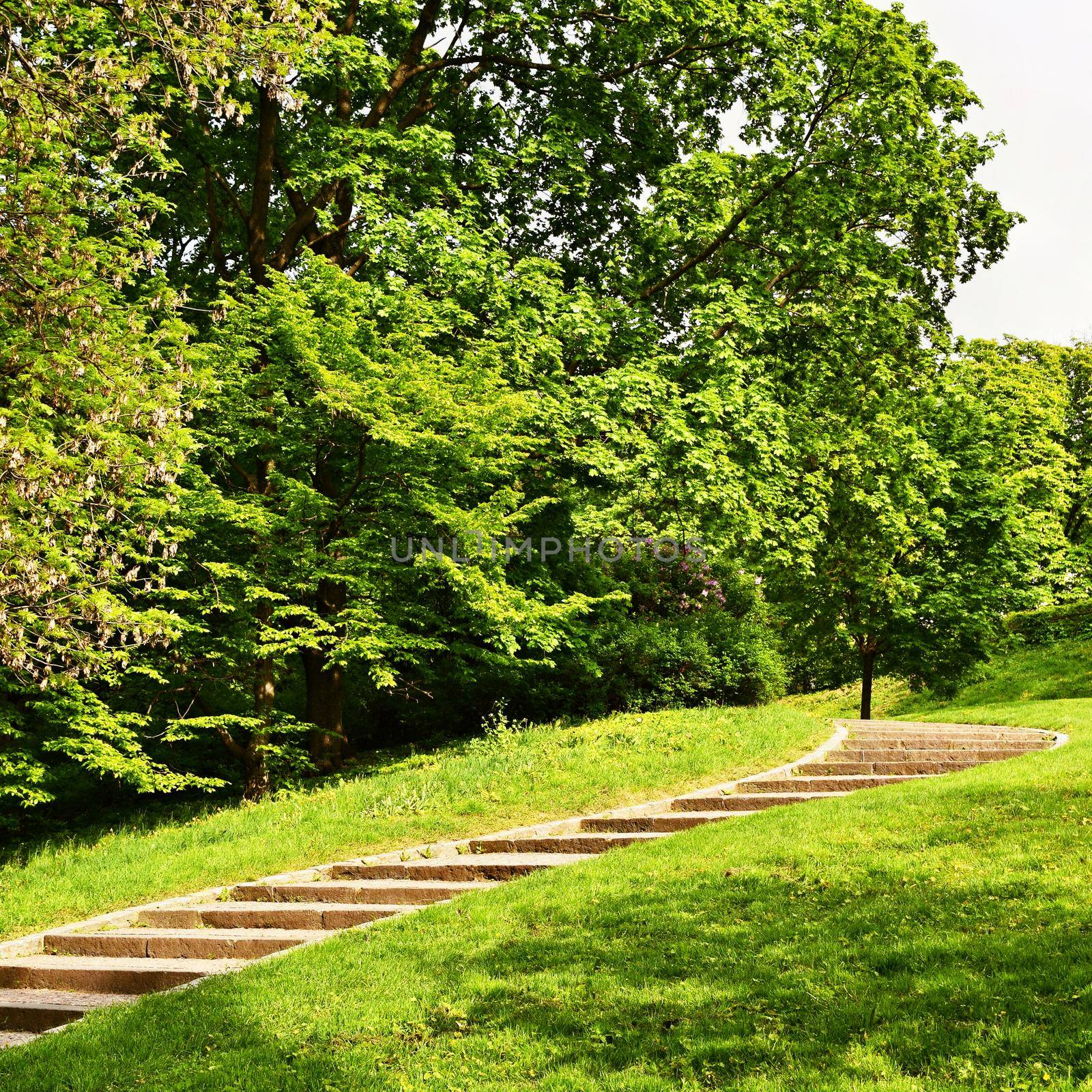 Beautiful green spring park. The journey nature. by Montypeter