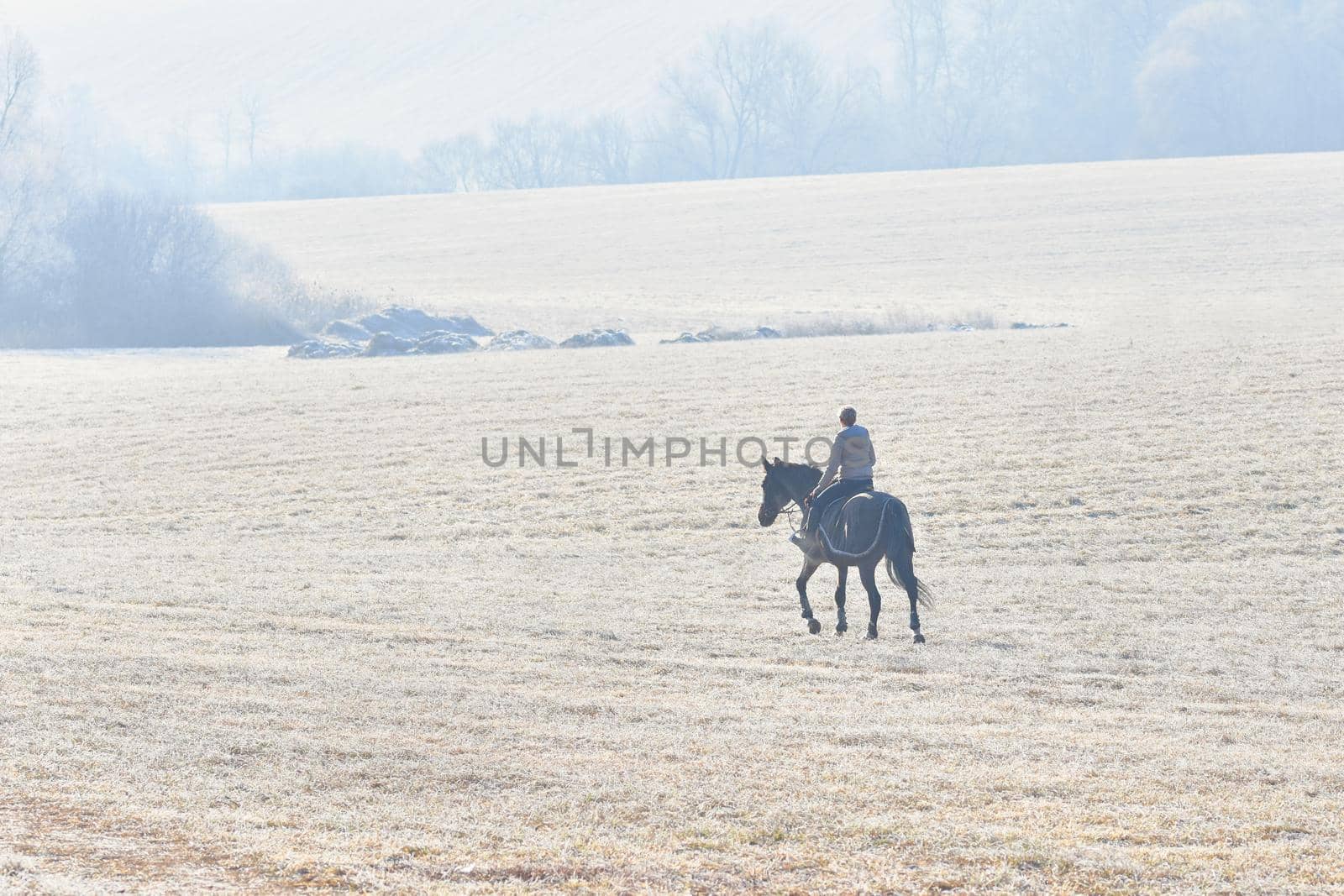 Girl riding a horse. Beautiful winter seasonal  background in nature. by Montypeter