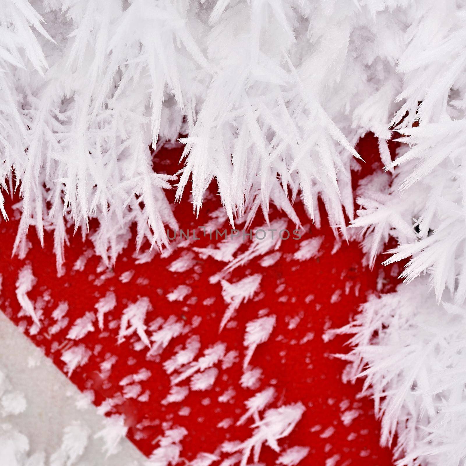 Frost - hoarfrost. Beautiful winter seasonal abstract background. by Montypeter