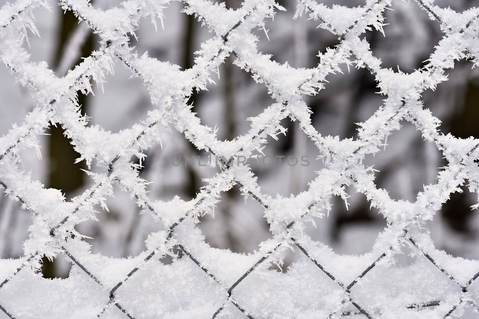 Icy fence. Beautiful winter seasonal abstract background.