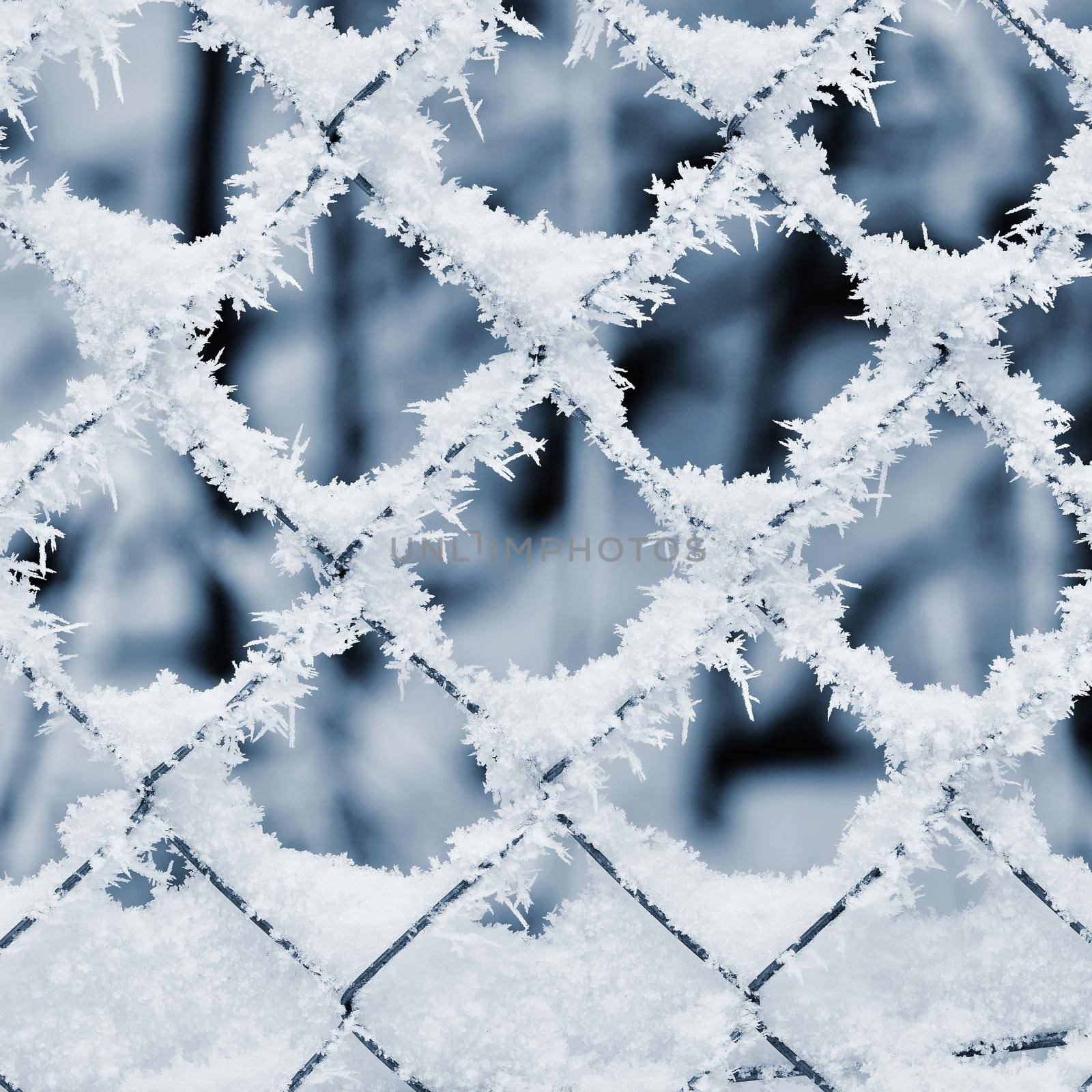 Icy fence. Beautiful winter seasonal abstract background. by Montypeter